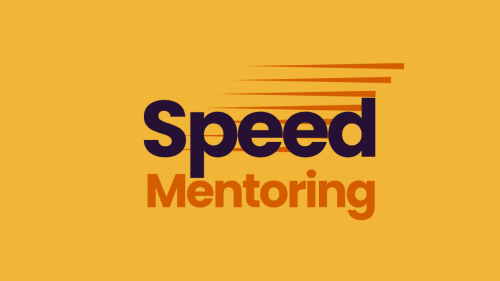 Northern Region Auckland Speed Mentoring image